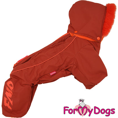 FMD snowsuit for female dogs, 18 (EXPRESS SHIPPING)