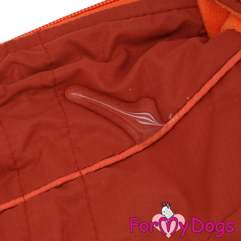 FMD snowsuit for female dogs, 18 (EXPRESS SHIPPING)